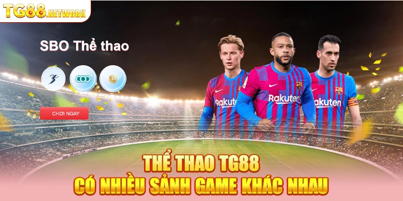 Thể thao TG88 có nhiều sảnh game khác nhau