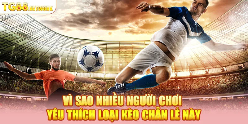 Vì sao nhiều người chơi yêu thích loại kèo chẵn lẻ này